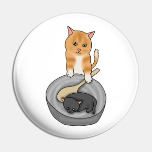 Kitty cooking (fluffy orange cat, black kitten) Pin