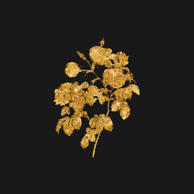 Vintage Gilded Tomentose Rose Botanical Gold Leaf by Holy Rock Design