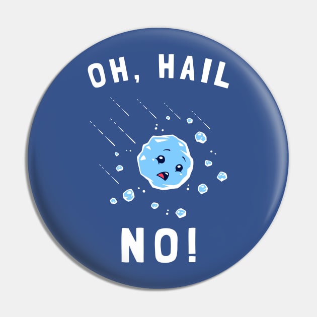 Oh Hail No Pin by dumbshirts