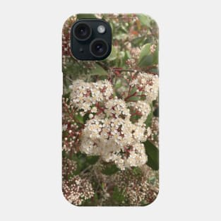 Beautiful nature Phone Case