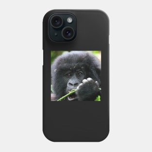 Juvenile Mountain Gorilla, Kwitonda Group, Rwanda, East Africa. Phone Case