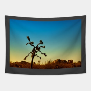 Joshua Tree National Park, California Tapestry