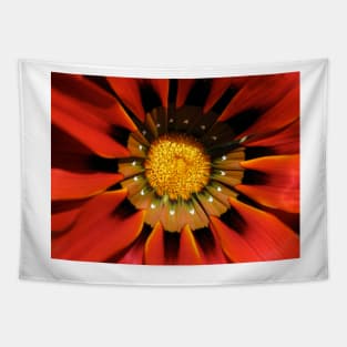 Gazania 1 Tapestry