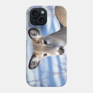 Young Deer with amazing eyes. Phone Case