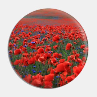 Field of Beautiful Red Poppies Pin