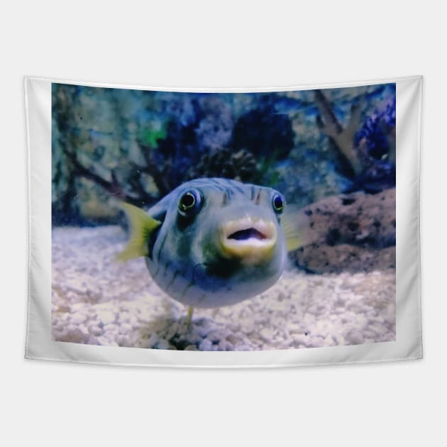 puffer fish, aquarium, puffer fish saying, guinea fowl puffer fish, blackspot puffer fish, dwarf puffer fish, pea puffer fish, aquaristics, giant puffer fish, aquarist, puffer fish owner, pumped up fish, fish owner, puffer, puffer fish lover Tapestry by souvenirscape