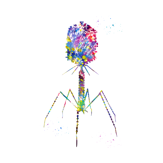 Bacteriophage by erzebeth