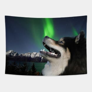 Northern lights lappie Tapestry