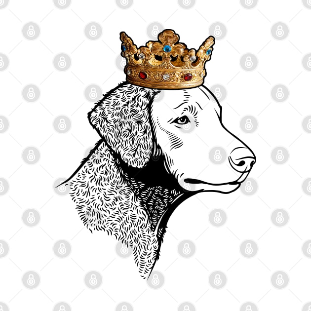 Curly-Coated Retriever Dog King Queen Wearing Crown by millersye