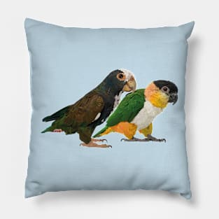 Caique and parrot Pillow
