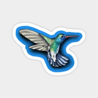 Hummingbird Magnet