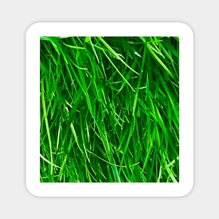 Grass print Magnet
