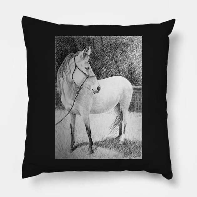 Horse  by Adelaide Artist Avril Thomas Pillow by AvrilThomasart