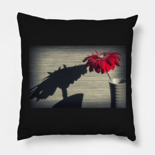 Gerbera Flower Pillow