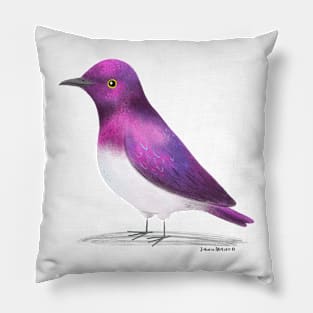 Violet Backed Starling Bird Pillow