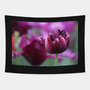 Black Hero Tulip Tapestry