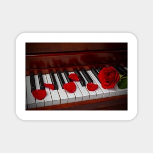 Red Rose On Piano With Rose Petals Magnet