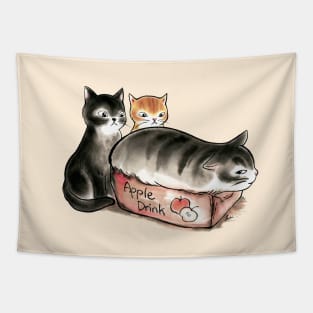 Cat in box Tapestry