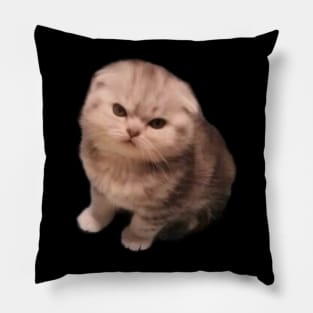 Angry Cat Pillow