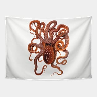 Vintage Octopus Macropus by Giacomo Merculiano Tapestry