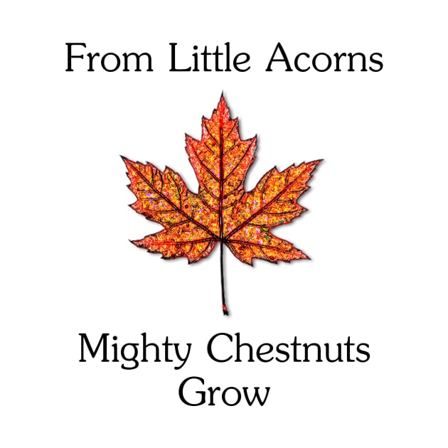 From Little Acorns... by RFMDesigns