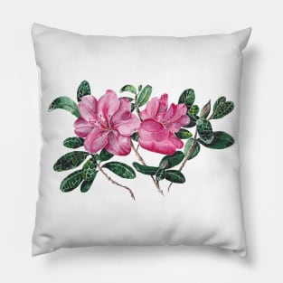 Azalea Pillow