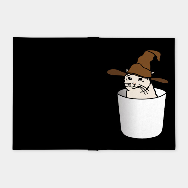 Crying Cat Meme In A Wizard Hat In A Glass Crying Cat Meme