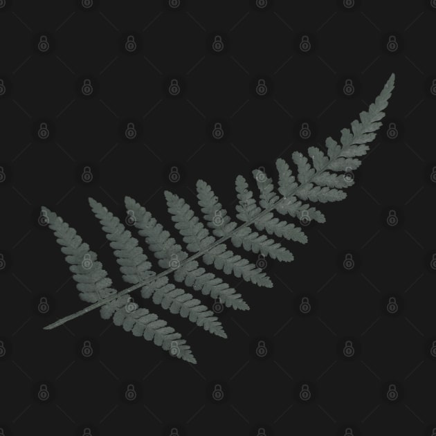 Silver Fern by InnerReaper