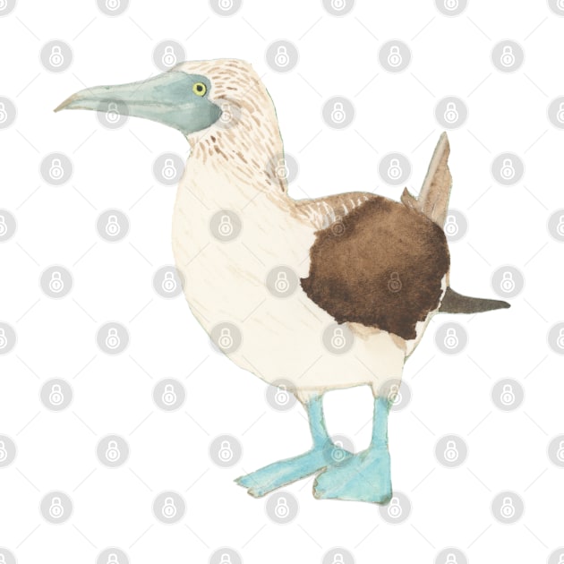 BLUE-FOOTED BOOBY BIRD - Watercolor Painting by VegShop