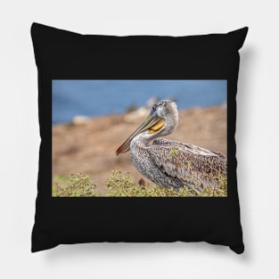 Brown Pelican Pillow
