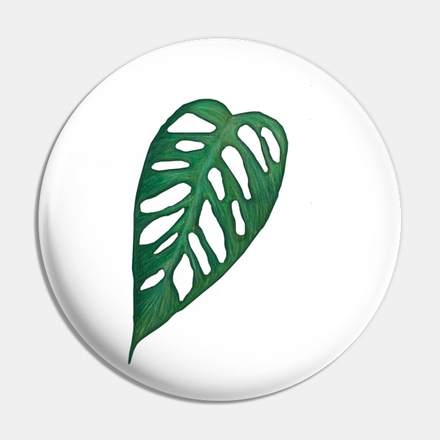 Monstera Adonsonii Leaf Pin by ally1021