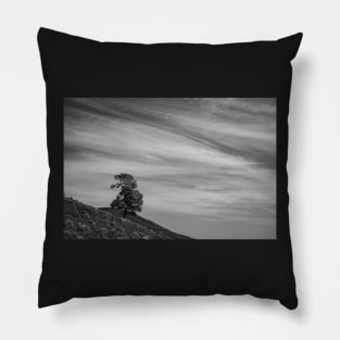 Lonesome Tree Pillow