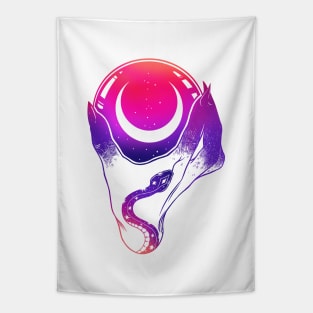 Crystal Ball Tapestry