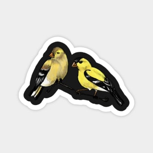 American Goldfinches Magnet