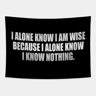 I alone know I am wise because I alone know I know nothing Tapestry