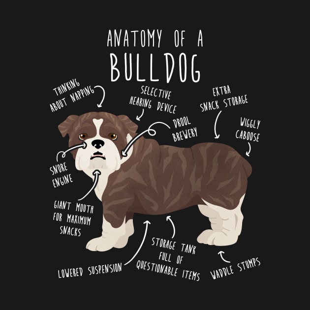 English Bulldog Brindle Dog Anatomy by Psitta