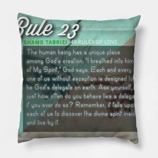 40 RULES OF LOVE - 23 Pillow