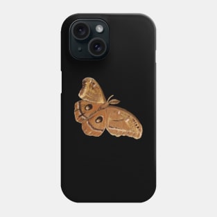 Night Moth, Hyalophora cecropia, Illustration Phone Case