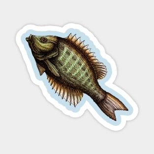 FISH ART Magnet