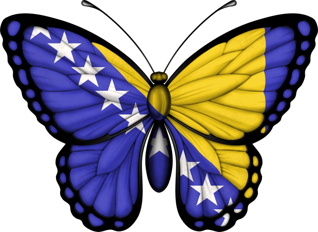 Bosnian Flag Butterfly Kids T-Shirt by jeffbartels