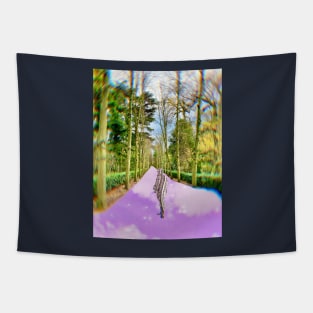 Walking on clouds Tapestry