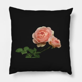 Pink Roses Pillow