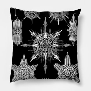 Ernst Haeckel Art Forms of Nature -  Acanthophracta Radiolaria Pillow