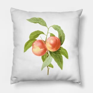 Vintage Botanical Print, Peaches by Redoute Pillow