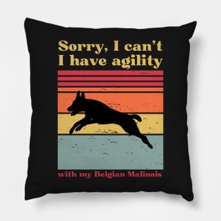 sorry i can't, i have agility with my malinois Pillow