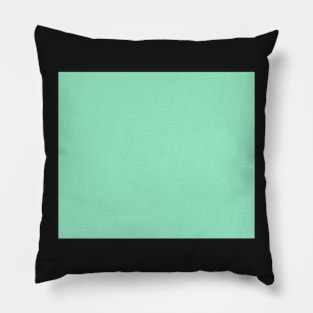 Solid Mint Pillow