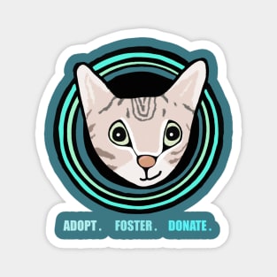 Adopt Foster Donate - Cat Rescue Magnet