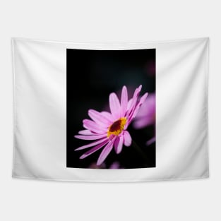 Paris Daisy Tapestry