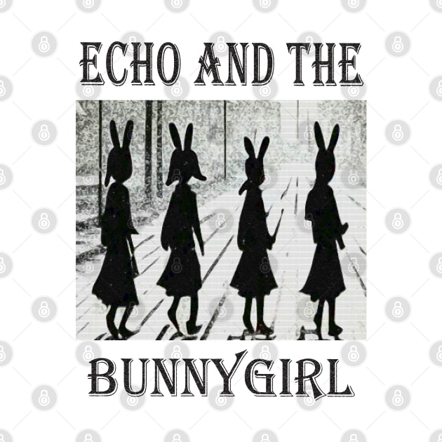 Echo and The Bunnygirl by Twrinkle