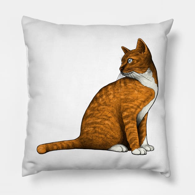 Cat Pillow by Akman